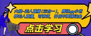 大陆-无人直播(三合一),腾讯qq小世界无人直播,可带货,开店不要保证金-最全项目网