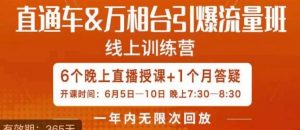 直通车&万相台引爆流量班,6天打通你开直通车·万相台的任督二脉-最全项目网