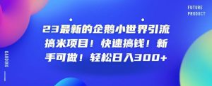 23最新的企鹅小世界引流搞米项目!快速搞钱!新手可做!轻松日入300+【揭秘】-最全项目网