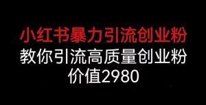 小红书暴力引流创业粉,教你引流高质量创业粉,价值2980【揭秘】-最全项目网