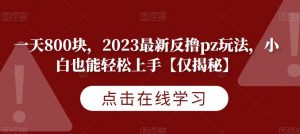 一天800块,2023最新反撸pz玩法,小白也能轻松上手【仅揭秘】-最全项目网