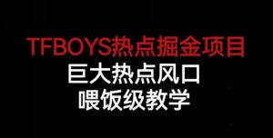 TFBOYS热点掘金项目,巨大热点风口,喂饭级教学-最全项目网
