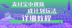 避坑玩法:支付宝中视频分成计划玩法实操详解【揭秘】-最全项目网