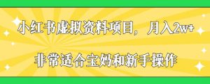 小红书虚拟资料项目,月入2w+,非常适合宝妈和新手操作【揭秘】-最全项目网