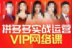 推易拼多多VIP全套直播课程，拼多多店铺实操玩法+实战玩法选款内功+直通车高阶等-最全项目网