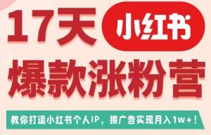 17天小红书爆款涨粉营（广告变现方向），教你打造小红书博主IP、接广告变现的-最全项目网