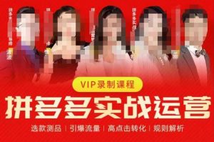2023推易拼多多实战运营,选款测品、引爆流量、高点击转化、规则解析-最全项目网