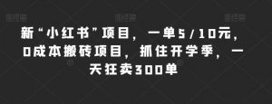 新“小红书”项目,一单5/10元,0成本搬砖项目,抓住开学季,一天狂卖300单【揭秘】-最全项目网