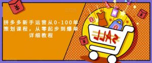 拼多多新手运营从0-100单策划课程,从零起步到爆单详细教程-最全项目网