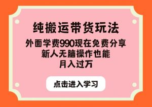纯搬运带货玩法,外面学费990现在免费分享,新人无脑操作也能月入过万【揭秘】-最全项目网