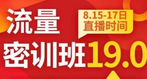 秋秋线上流量密训班19.0,打通流量关卡,线上也能实战流量破局-最全项目网