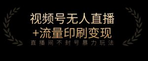 全网首发视频号不封号无人直播暴利玩法+流量印刷机变现,日入1000+【揭秘】-最全项目网