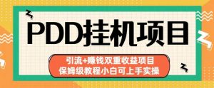 拼多多挂机项目引流+赚钱双重收益项目(保姆级教程小白可上手实操)【揭秘】-最全项目网
