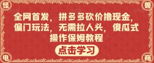 全网首发,拼多多砍价撸现金,偏门玩法,无需拉人头,傻瓜式操作保姆教程【揭秘】-最全项目网