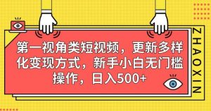 第一视角类短视频,更新多样化变现方式,新手小白无门槛操作,日入500+【揭秘】-最全项目网