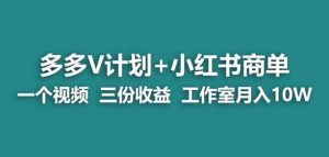 【蓝海项目】多多v计划+小红书商单一个视频三份收益工作室月入10w-最全项目网