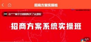 【一度招商】招商方案系统实操班 价值1980元-最全项目网