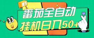 番茄全自动挂机日入50+,软件全自动,多号破百【揭秘】-最全项目网