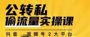 群响公转私偷流量实操课,致力于拥有更多自持,持续,稳定,精准的私域流量!-最全项目网