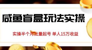 独家首发咸鱼盲盒玩法实操,半个月批量起号单人15万收益【揭秘】-最全项目网