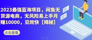 2023最强蓝海项目,闲鱼无货源电商,无风险易上手月赚10000,见效快【揭秘】-最全项目网