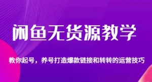 闲鱼无货源教学,教你起号,养号打造爆款链接以及转转的运营技巧-最全项目网
