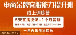电商金牌客服能力提升班,提升客服能力是你店铺业绩的关键要素-最全项目网