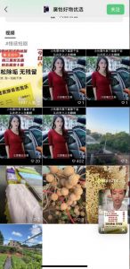 外面收费198的最新视频号连怼技术,条条原创,条条爆单【揭秘】-最全项目网