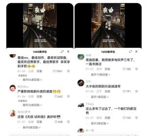 副业拆解:抖音杰伦音乐号涨粉变现项目,视频版一条龙实操玩法分享给你-最全项目网