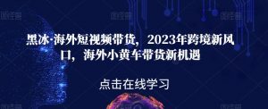 黑冰·海外短视频带货,2023年跨境新风口,海外小黄车带货新机遇-最全项目网