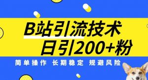 B站引流技术:每天引流200精准粉,简单操作,长期稳定,规避风险-最全项目网