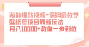 海外爆款视频+保姆级教学,壁纸号项目最新玩法,月入10000+教你一步到位【揭秘】-最全项目网