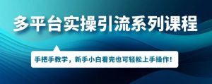 多平台引流实操系列课程,新手小白看完也可轻松上手进行引流操作-最全项目网