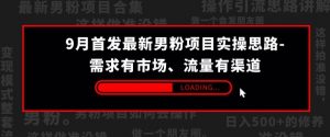 9月首发最新男粉项目实操思路-需求有市场,流量有渠道【揭秘】-最全项目网