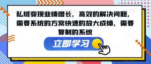 私域变现业绩增长,高效的解决问题,需要系统的方案快速的放大成绩,需要复制的系统-最全项目网