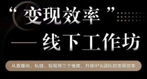 变现效率线下工作坊,从播直间、私域、视短频个三维度,升级IP和团队变现效率-最全项目网