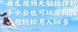 西瓜视频搞笑号,无脑操作新手小白也可月入6K-最全项目网