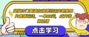 超级冷门赛道在微博引流卖明星图片最新玩法,一单88元,成交非常丝滑【揭秘】-最全项目网