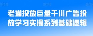老猫投放巨量千川广告投放学习实操系列基础逻辑-最全项目网