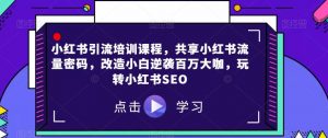 小红书引流培训课程,共享小红书流量密码,改造小白逆袭百万大咖,玩转小红书SEO-最全项目网