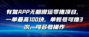 有驾APP无脑搬运零撸项目,一单最高100块,单账号可撸3次,可多号操作【揭秘】-最全项目网