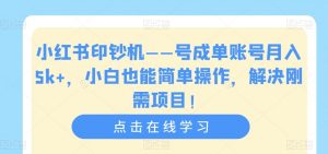 小红书印钞机——号成单账号月入5k+,小白也能简单操作,解决刚需项目【揭秘】-最全项目网
