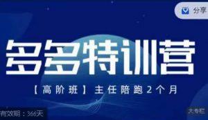 纪主任·多多特训营高阶班【9月13日更新】,拼多多最新玩法技巧落地实操-最全项目网