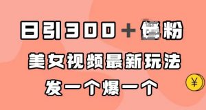 日引300+男粉,美女视频最新玩法,发一个爆一个【揭秘】-最全项目网