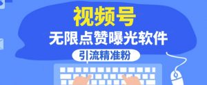 全网首发,视频号无限点赞曝光,引流精准粉【揭秘】-最全项目网