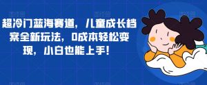 超冷门蓝海赛道,儿童成长档案全新玩法,0成本轻松变现,小白也能上手【揭秘】-最全项目网