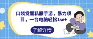 口袋觉醒私服手游,暴力项目,一台电脑轻松1w+【揭秘】-最全项目网