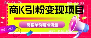 商K引粉变现项目,高客单价精准流量【揭秘】-最全项目网