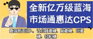 全新亿万级蓝海市场通惠达cps,最强管道收入,让你睡着赚、躺着赚、玩着赚、轻松赚【揭秘】-最全项目网