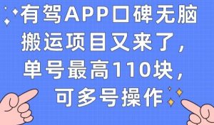 有驾APP口碑无脑搬运项目又来了，单号最高110块，可多号操作-最全项目网